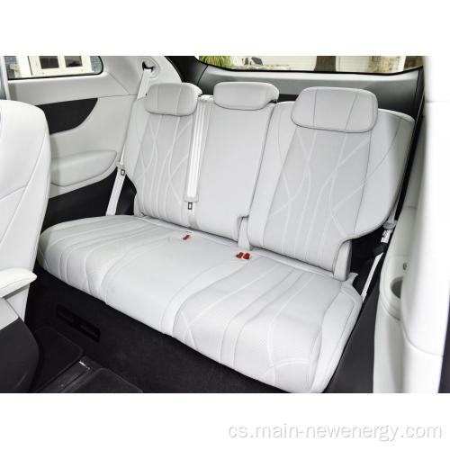 4WD Luxury Nová značka vozidla Elektrické auto MPV XPEG X9 6-sedadlo Velkého prostoru EV Car